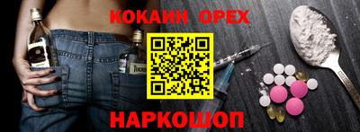 крисы Новодвинск