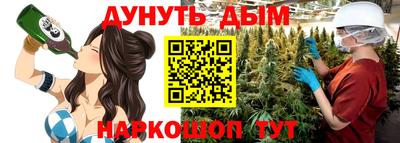 крисы Новодвинск