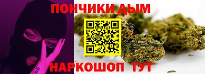 крисы Новодвинск